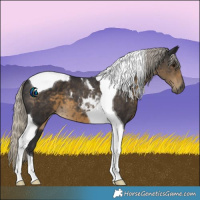 Horse Color:Silver Smoky Black Tobiano 