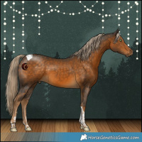 Horse Color:Chocolate Palomino Tobiano 