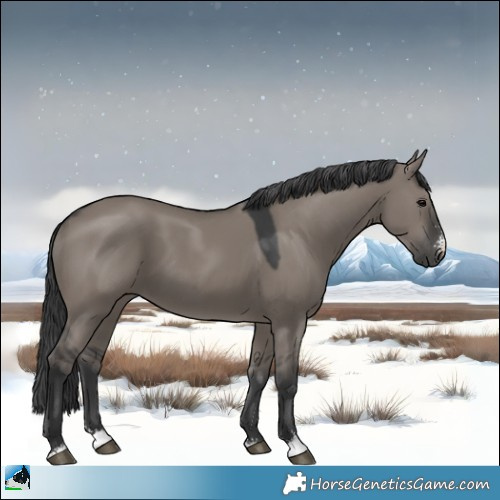 Horse Color:Grullo Sabino 