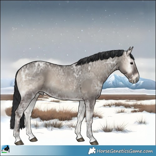 Horse Color:Grullo Ice Onyx Sabino Rabicano 