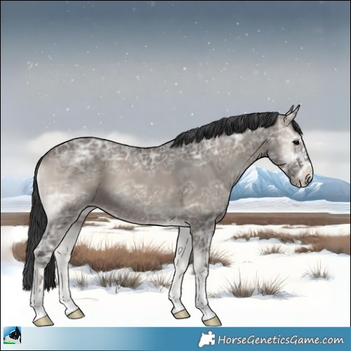 Horse Color:Grullo Ice Onyx Mushroom 