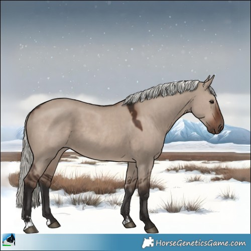 Horse Color:Liver Red Dun Mushroom 