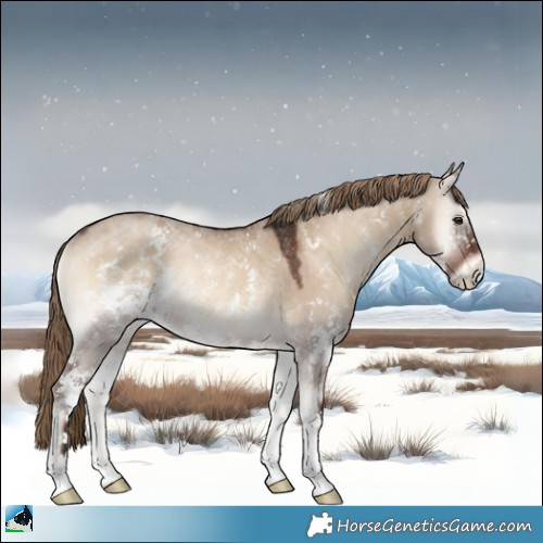 Horse Color:Liver Red Dun Onyx Sabino Rabicano 