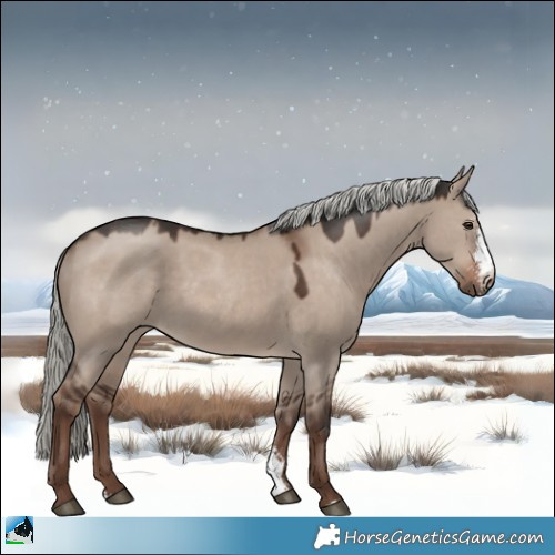 Horse Color:Liver Red Dun Mushroom Sabino 