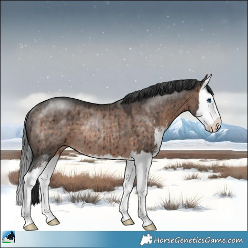 Horse Color:Brown Dun Mushroom Sabino Splash Rabicano Brindle 