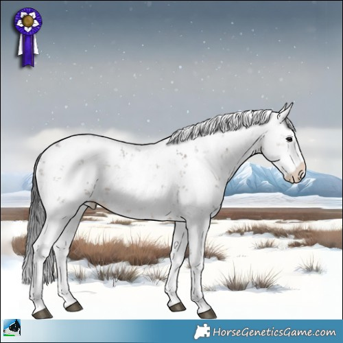 Horse Color:Brown Dun Mushroom Sabino Splash 