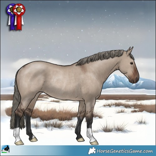 Horse Color:Liver Red Dun Mushroom Rabicano 