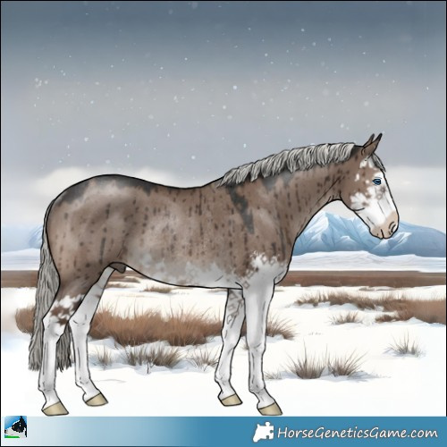 Horse Color:Liver Red Dun Mushroom Sabino Splash Rabicano Brindle 