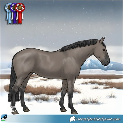 Horse Color:Grullo 