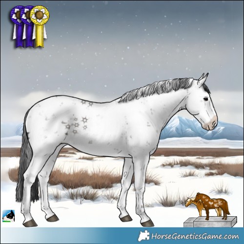 Horse Color:Grullo Sabino 