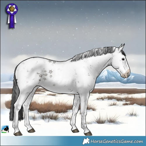 Horse Color:Grullo Sabino 