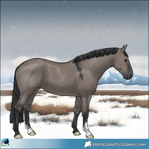 Horse Color:Grullo Mushroom 