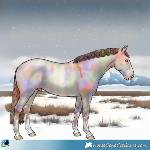 Horse Color:Nacre Gold Champagne Dun Rabicano 