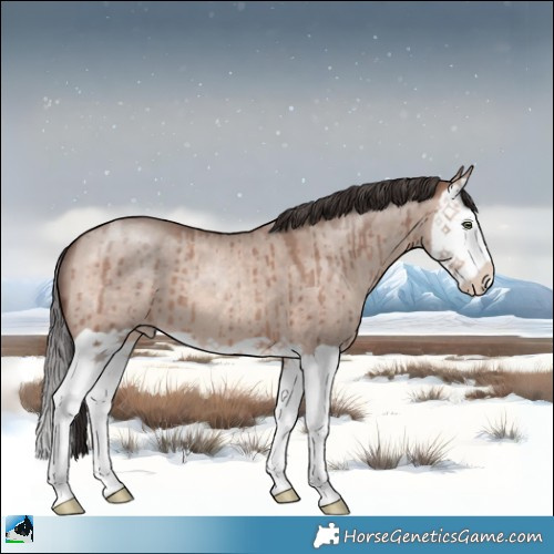 Horse Color:Sable Champagne Dun Mushroom Splash Brindle 