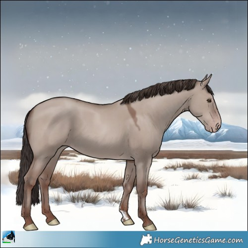 Horse Color:Classic Champagne Dun Mushroom 