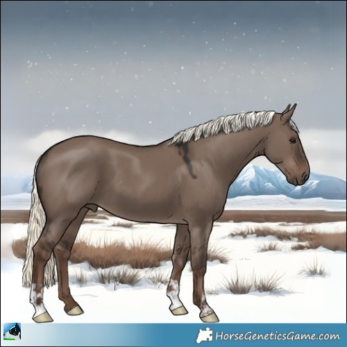 Horse Color:Liver Red Dun Mushroom 