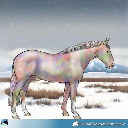 Horse Color:Nacre Gold Champagne Dun Mushroom Rabicano 