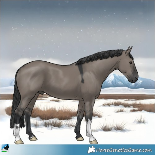 Horse Color:Grullo Mushroom 