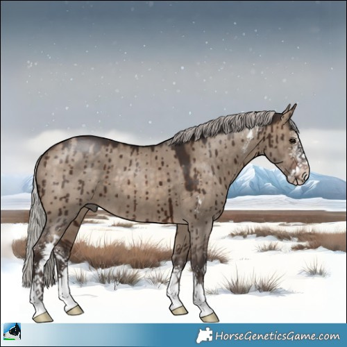 Horse Color:Silver Brown Dun Sabino Brindle 