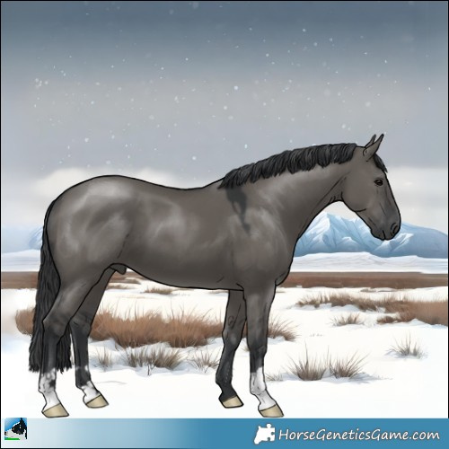 Horse Color:Grullo Mushroom 