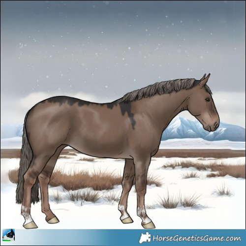 Horse Color:Liver Red Dun Mushroom 
