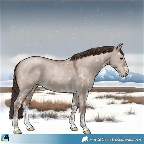 Horse Color:Classic Champagne Dun Mushroom Sabino 