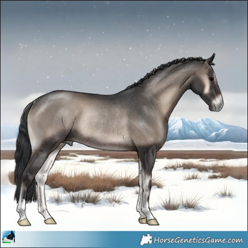 Horse Color:Blue Onyx Rabicano 