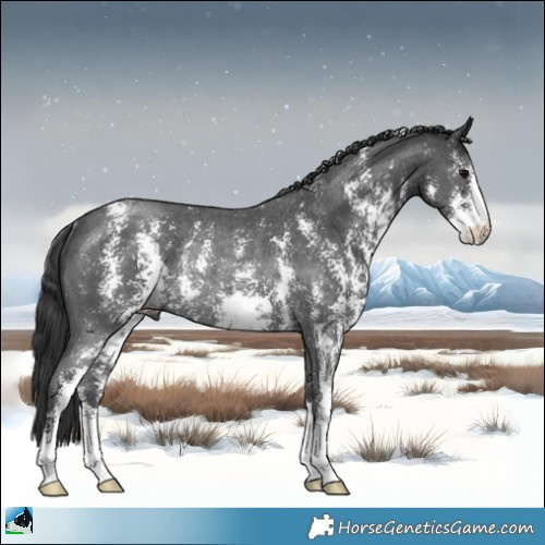 Horse Color:Black Sabino Rabicano 