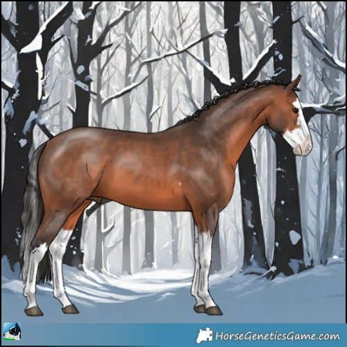 Horse Color:Bay Mushroom Splash 