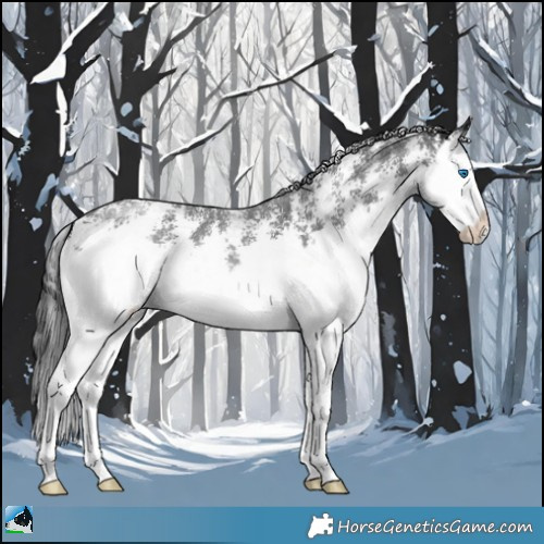Horse Color:Liver Chestnut Sabino Splash 