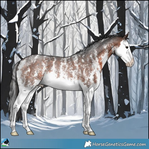 Horse Color:Brown Sabino Splash Rabicano 