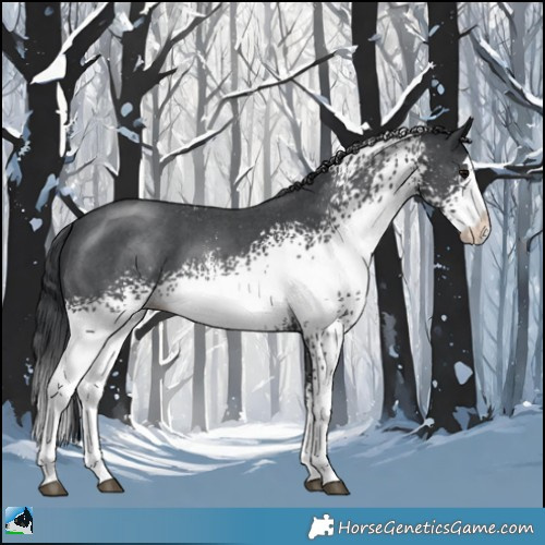 Horse Color:White Spotted Black Mushroom Sabino Splash 