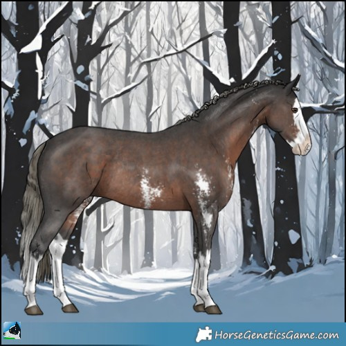 Horse Color:Liver Chestnut Mushroom Sabino Splash Rabicano 
