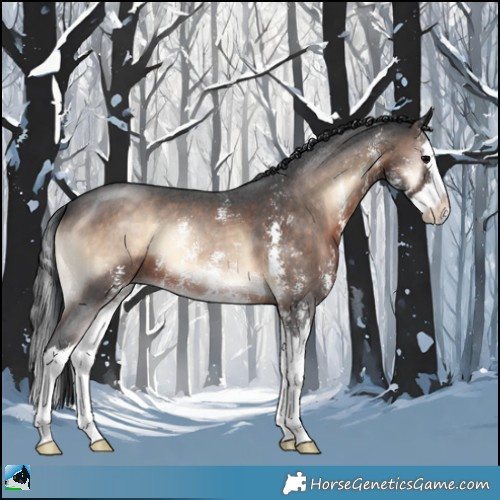 Horse Color:Brown Onyx Mushroom Sabino Splash 