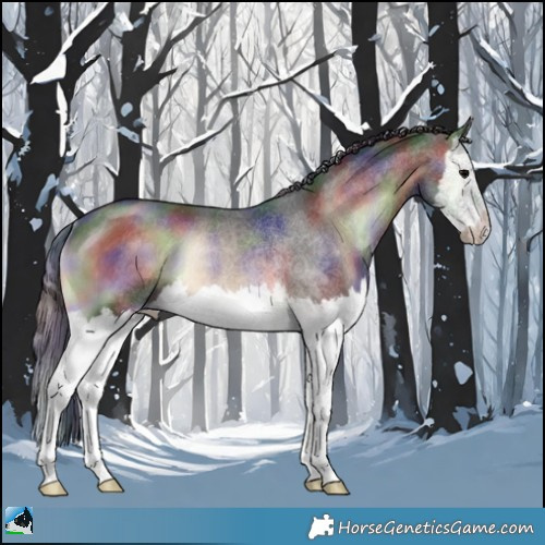 Horse Color:Nacre Brown Onyx Splash Rabicano 