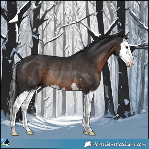 Horse Color:Brown Splash Rabicano 