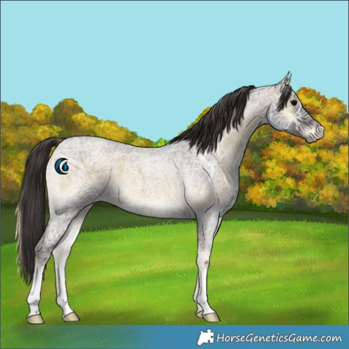 Horse Color:Smoky Blue Onyx Ice Roan 