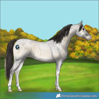 Horse Color:Smoky Blue Onyx Ice Roan 
