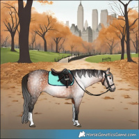 Horse Color:Gray Bay Tobiano Rabicano