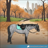 Horse Color:Blue Roan Varnish Rabicano 