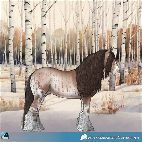 Horse Color:Classic Champagne Onyx Mushroom Sabino Rabicano 