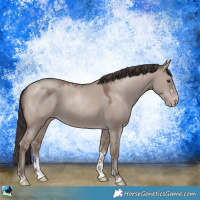 Horse Color:Classic Champagne Dun Mushroom Sabino