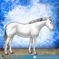 Horse Color:Grullo Ice Mushroom Sabino Rabicano 
