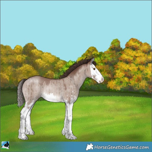Horse Color:Classic Champagne Dun Mushroom Sabino Splash Rabicano Brindle 