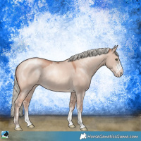 Horse Color:Gold Champagne Dun Mushroom Sabino Rabicano 