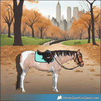 Horse Color:Bay Roan Tobiano Rabicano