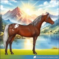 Horse Color:Silver Brown Appaloosa 