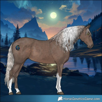 Horse Color:Silver Black Tobiano