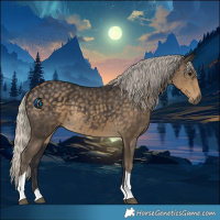 Horse Color:Silver Smoky Black Tobiano 