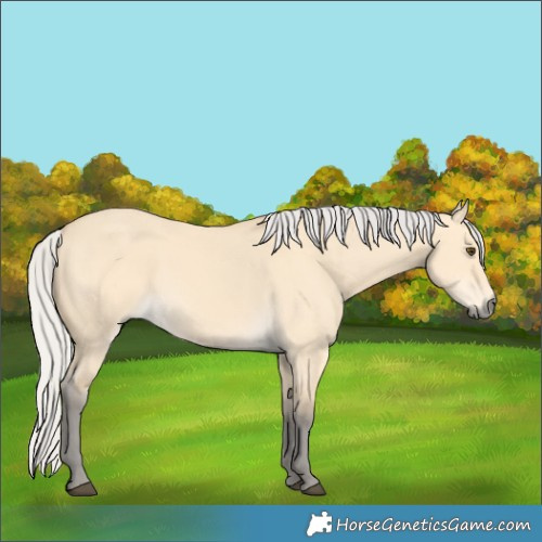 Horse Color:Silver Buckskin Dun 